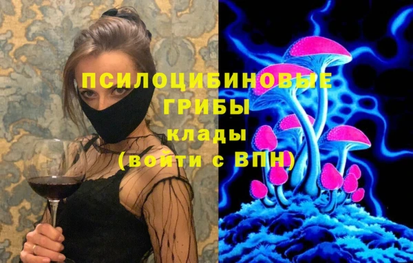 молекула духа Елабуга