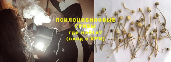 дмт Богданович