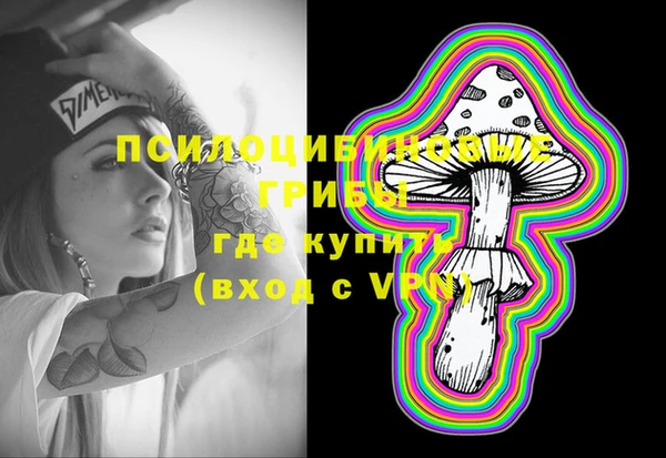 гидропоника Надым