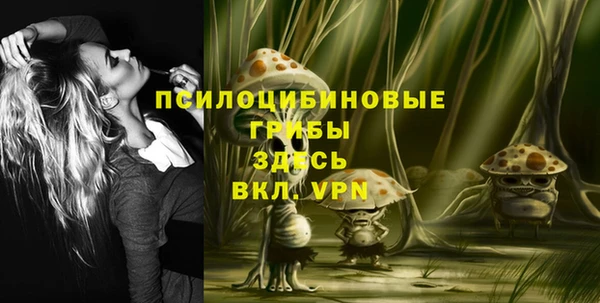 mix Новодвинск