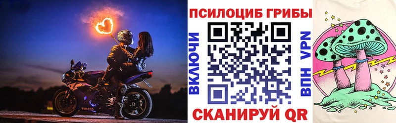 Галлюциногенные грибы Psilocybe  купить наркоту  кракен как зайти  Злынка 